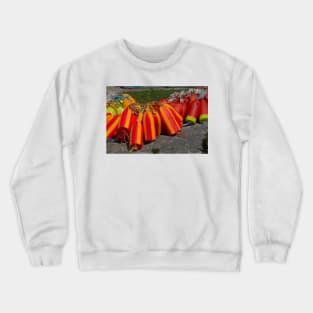 850_4897 Crewneck Sweatshirt